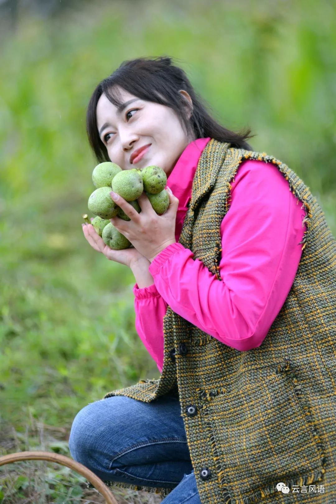 徐云峰诗在田湾村采摘核桃