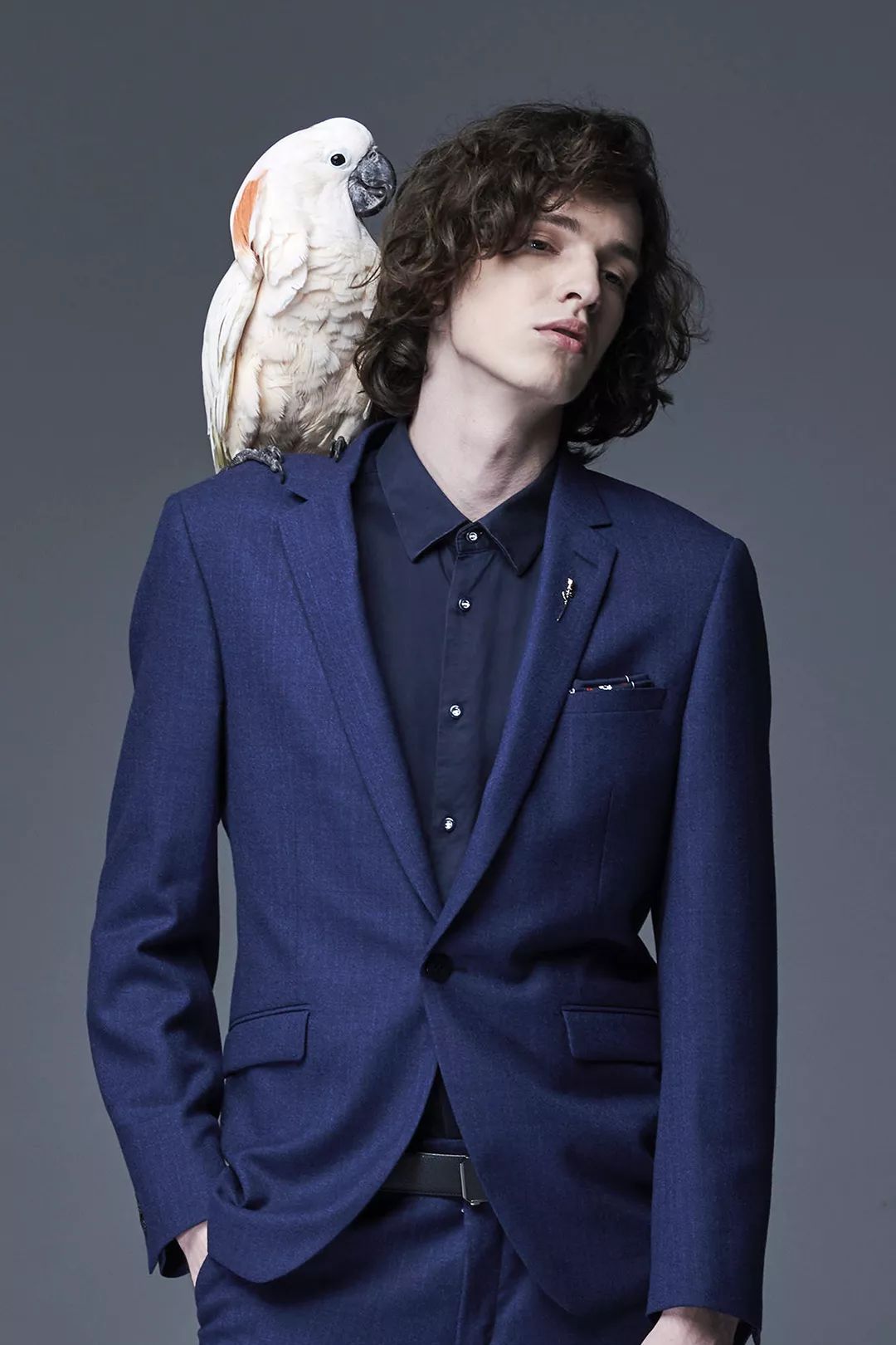 【利郎】新西服  一场「万物有灵」