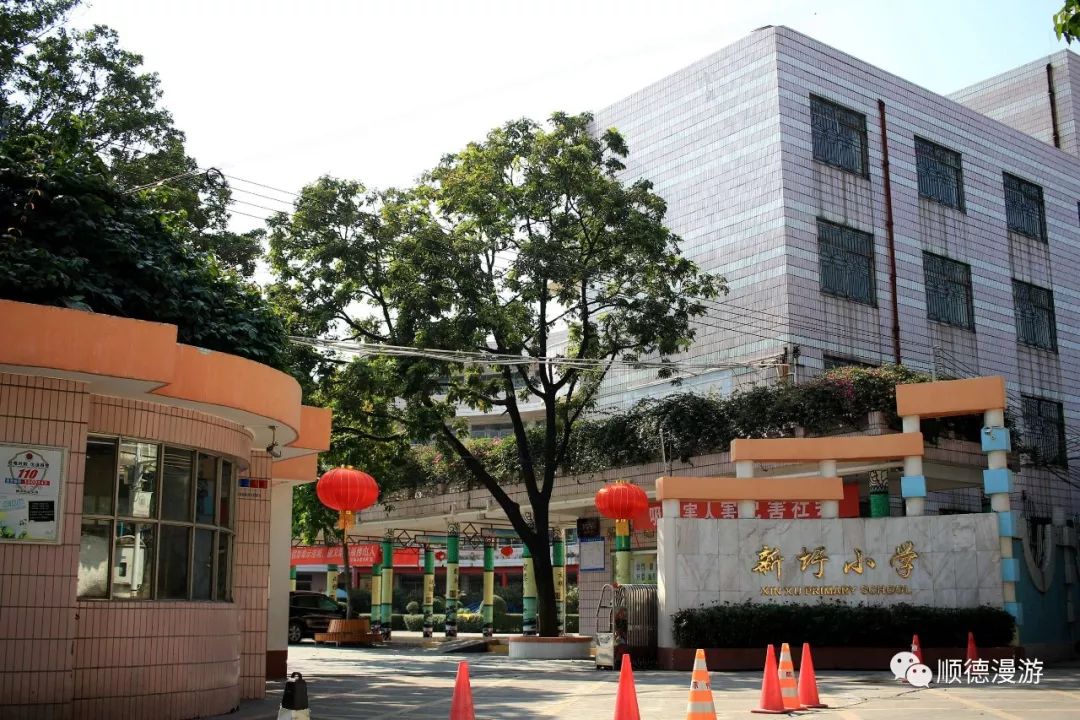 新隆明德小学陈登职业技术学校鹭洲梁桂凤纪念中学路洲小学水藤小学