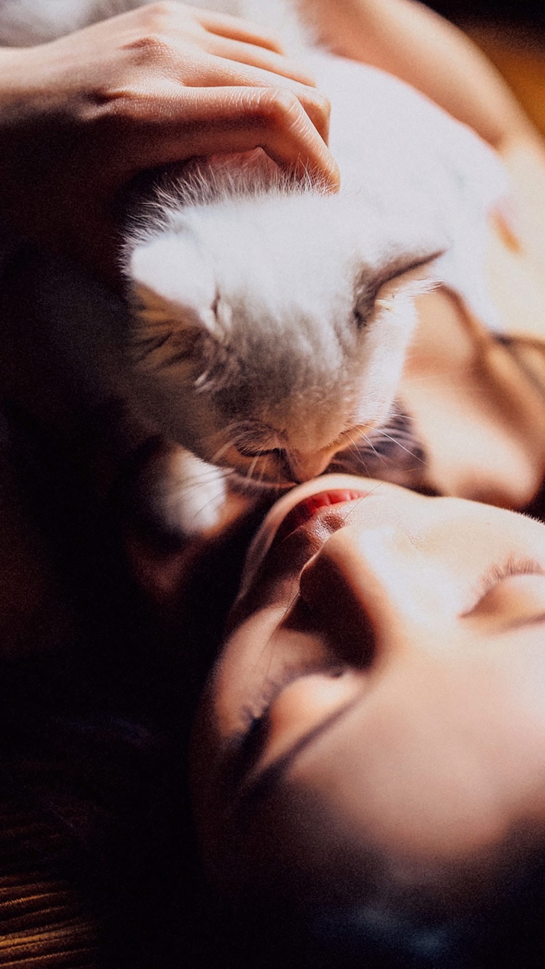 美女与猫唯美图片手机壁纸