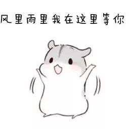 登录查看大图
