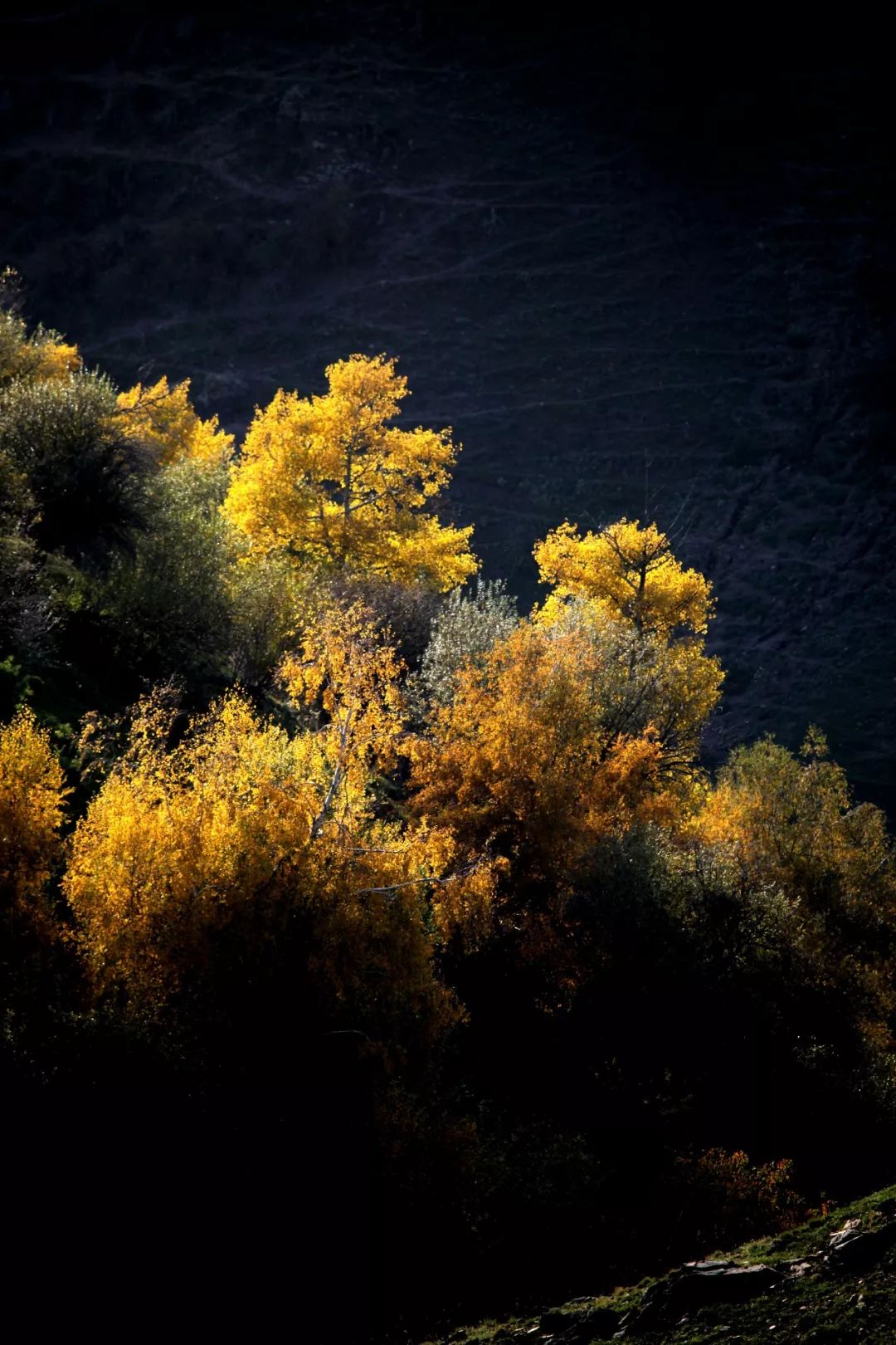 瑰丽的朝霞在河的尽头异彩纷呈,风车在流光中不慢不紧悠悠地旋转着