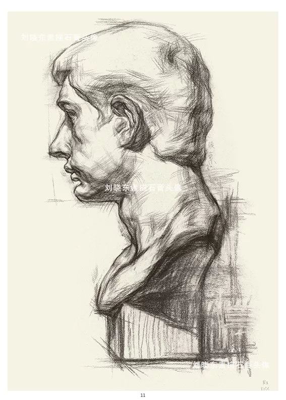 中国美术学院专业基础教学部教师刘晓东素描石膏头像挂图