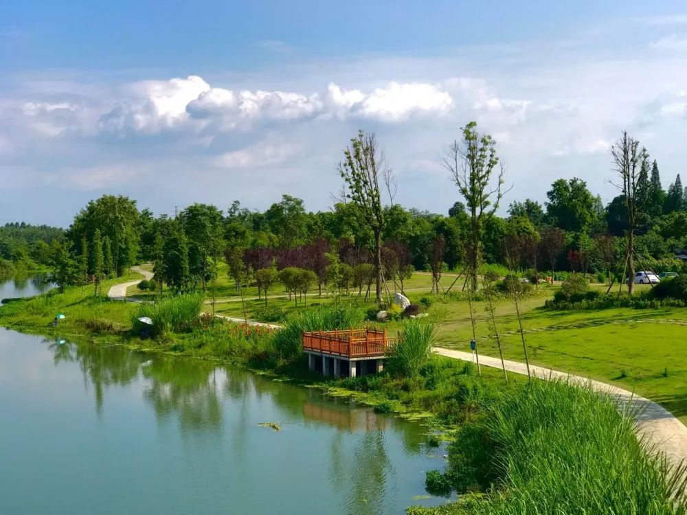 骑龙湖 羊马河湿地 百溪堰湿地新津正以白鹤滩国家湿地公园为中心和