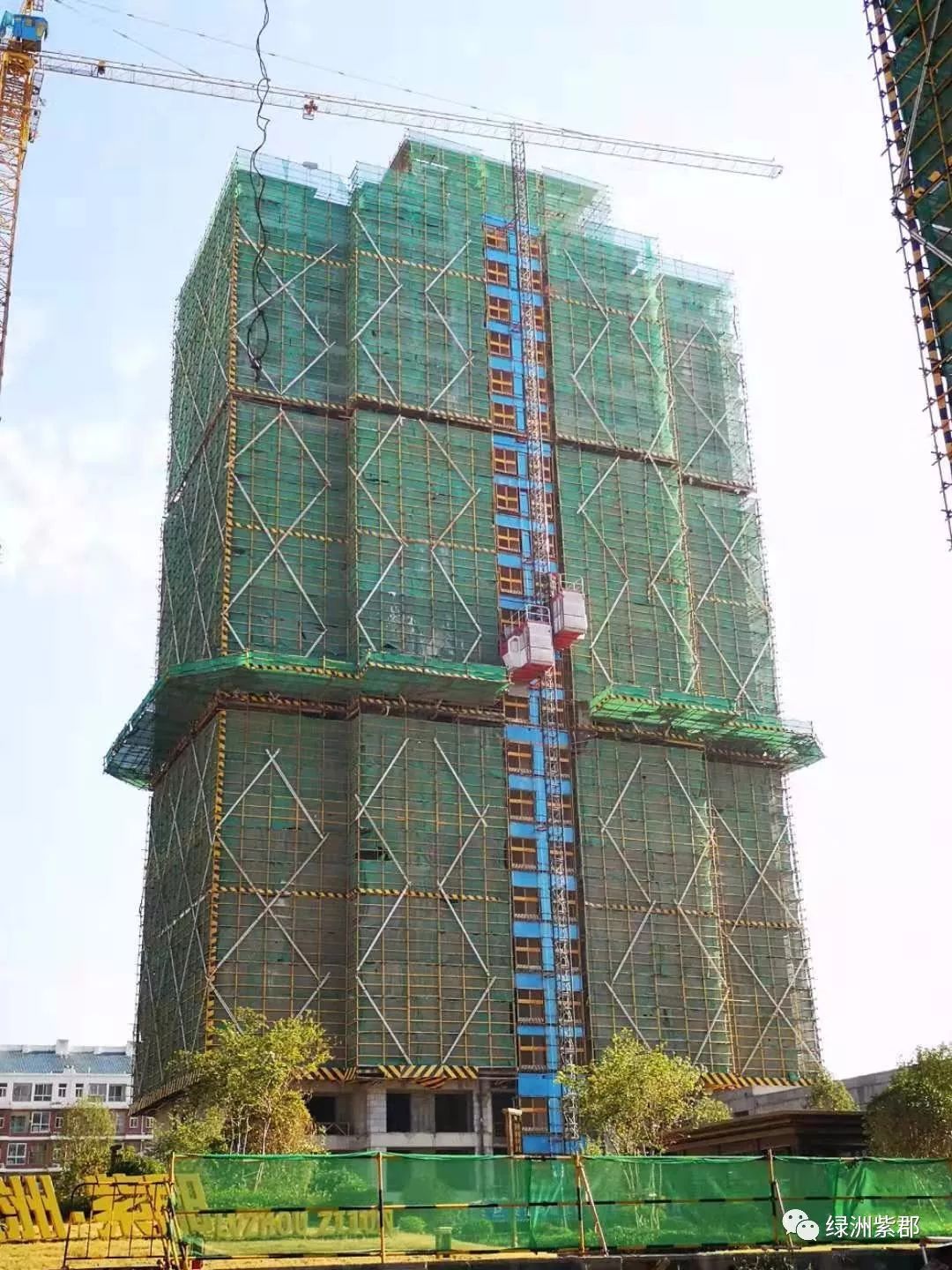 登录查看大图