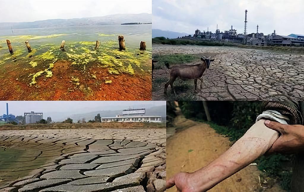 污染成为阳宗海最大的痛,开发严重受阻2006-2007年,华侨城集团,佳达利