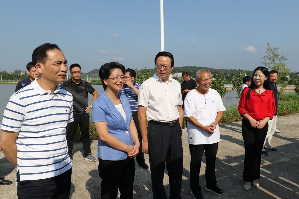 京山市委书记刘启华(左三),沙市区委副书记,区长黄勇(左一)在钱场镇盛