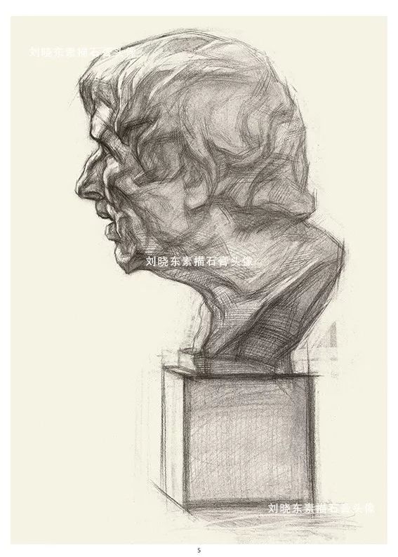 中国美术学院专业基础教学部教师刘晓东素描石膏头像挂图