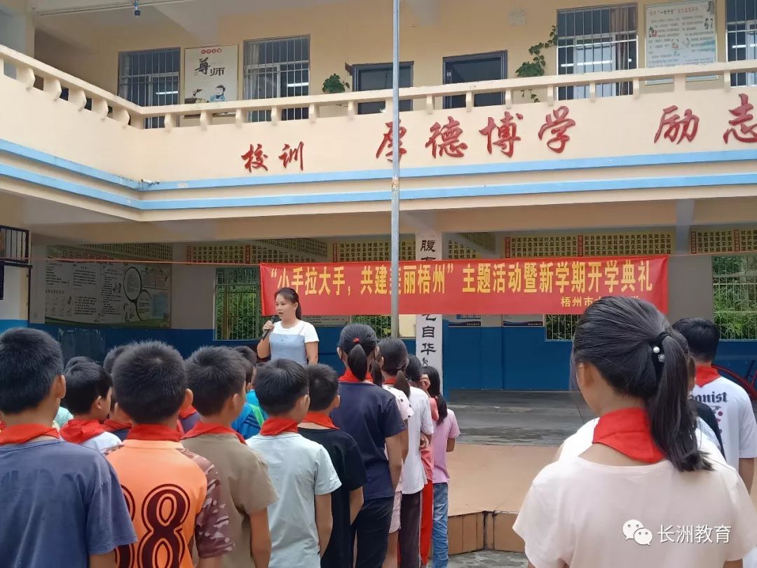 大橋小學旭村小學泗洲小學龍新小學正陽小學長洲中學新興小學鳳翔小學