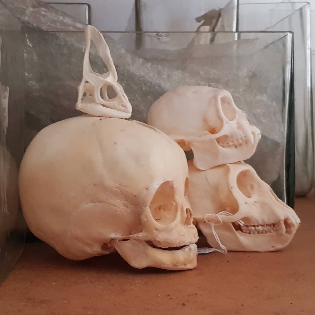 走上instagram买个死人头