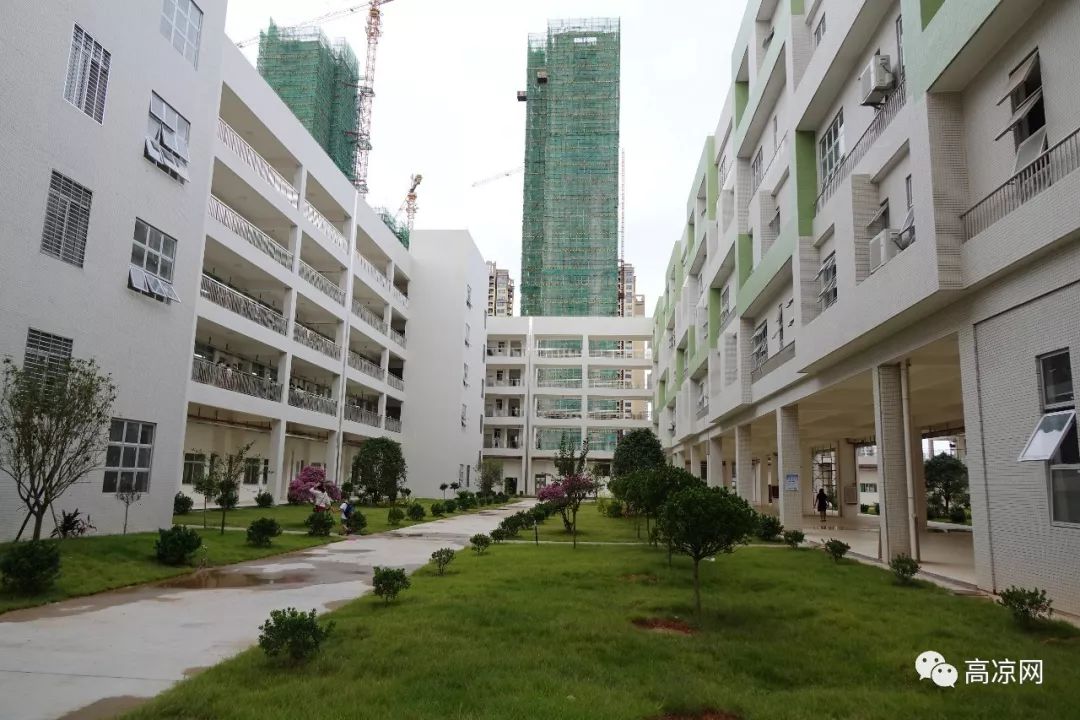 高州城东片区发展主动力高文小学揭牌开学谱写高州教育新篇章