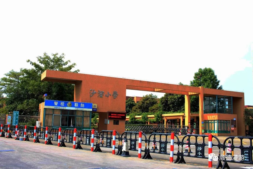 罗沙小学荷村育才学校小涌小学东平小学良村小学大闸学校【均安】均安