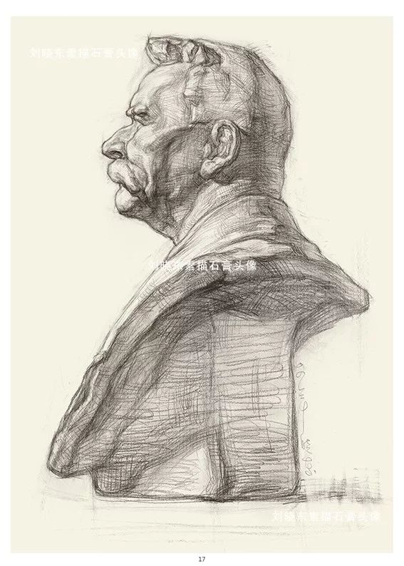 中国美术学院专业基础教学部教师刘晓东素描石膏头像挂图