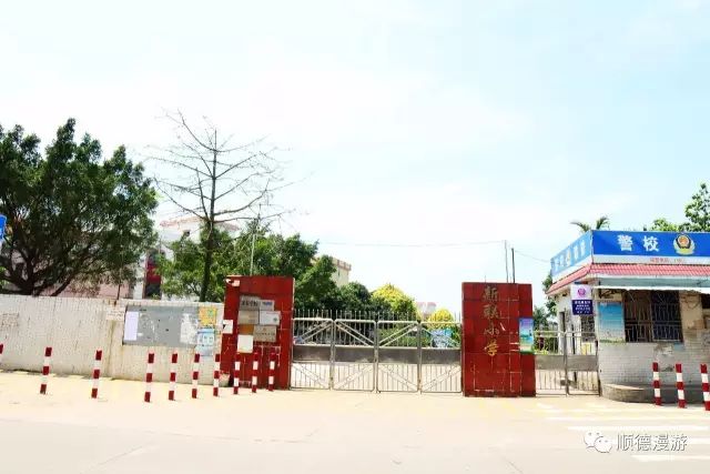 稔海小学图片