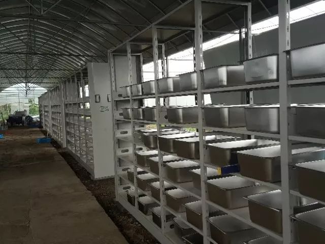 昆虫产业正搅动世界蛋白市场