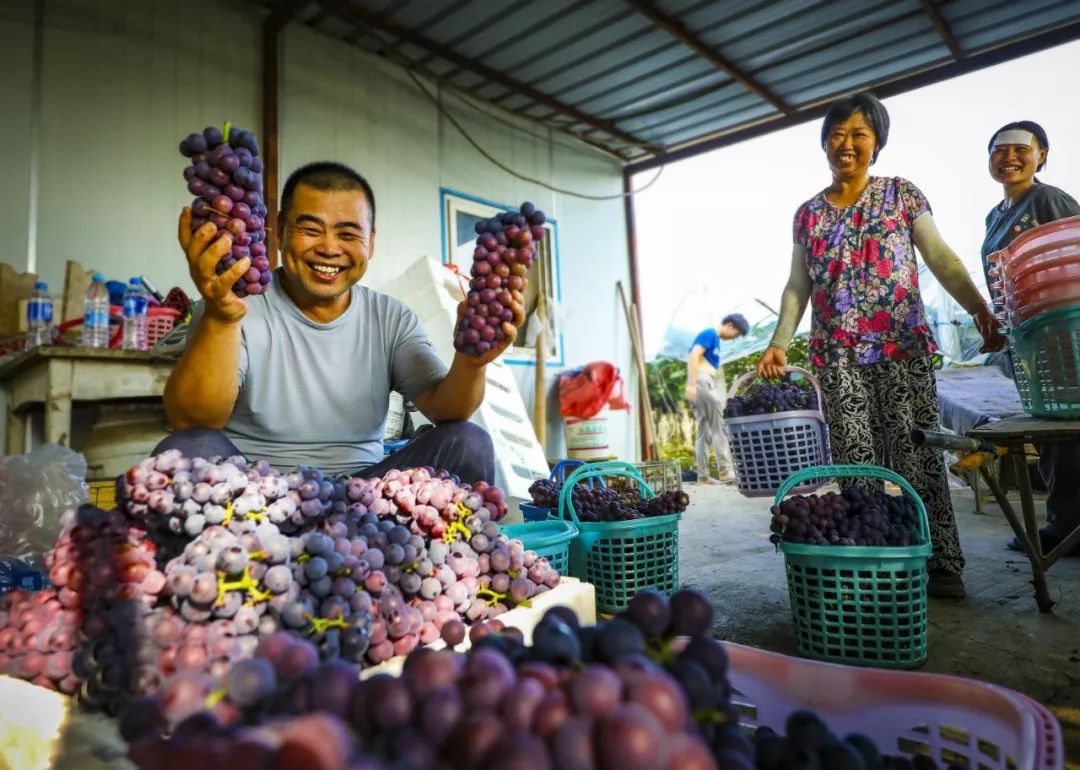 张繁琴《滿园硕果》 马忠智《葡萄节盛大开幕》 马保宁《七仙女下凡尝