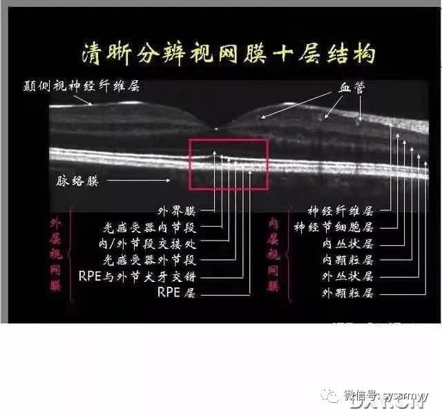 两山合作下的新眼科