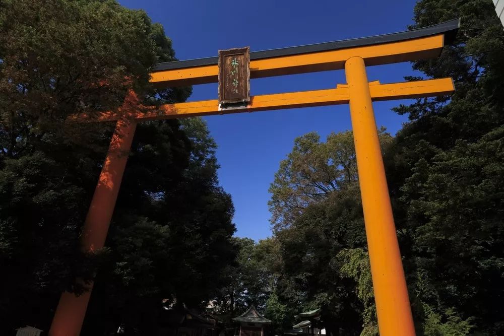 川越冰川神社和风铃祭