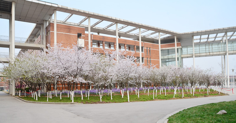 江苏"最牛"县级高中,只有二流的生源,学生个个考上一流大学_沭阳