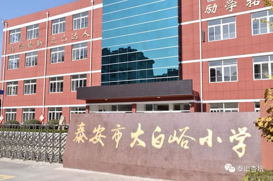 在大白峪小学,王区长一行了解了学校的校园文化,详细询问了学校的基本