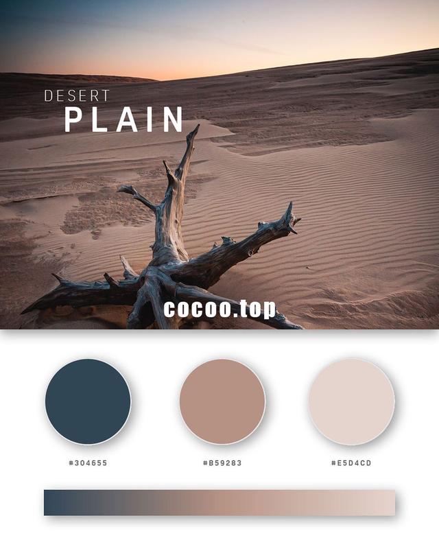 一组三色搭配方案色彩搭配灵感