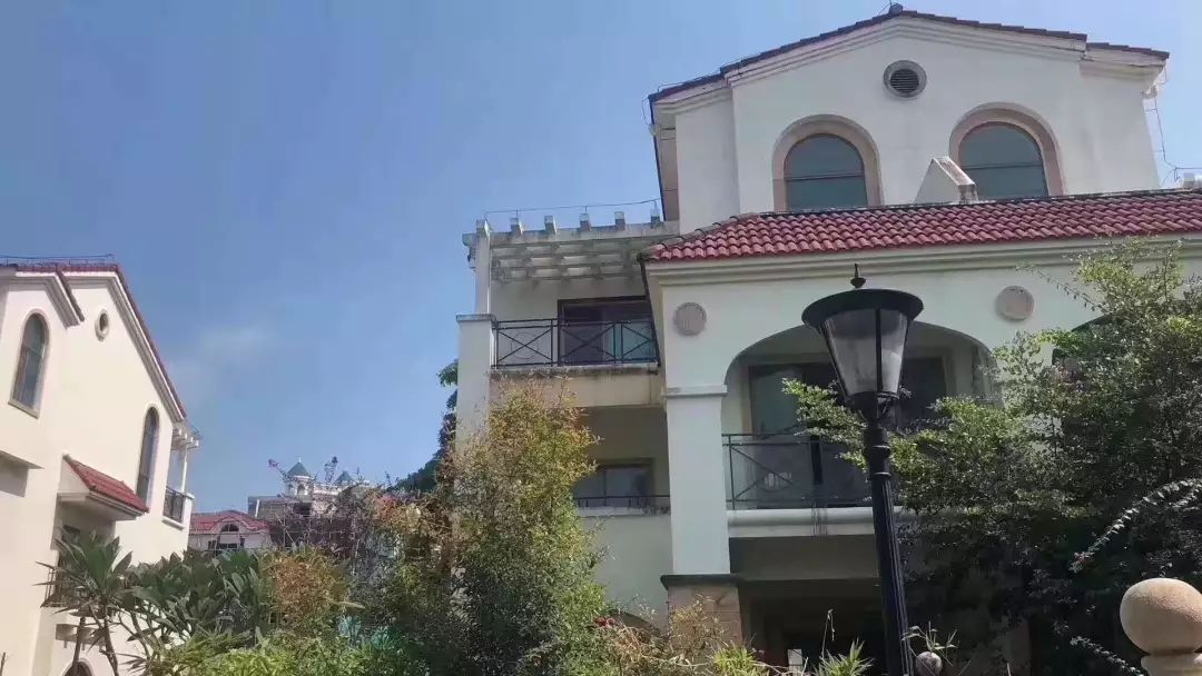 金叶岛生活处处有阳光