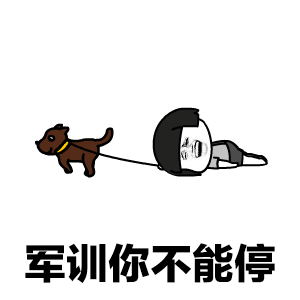 300_300gif 动态图 动图