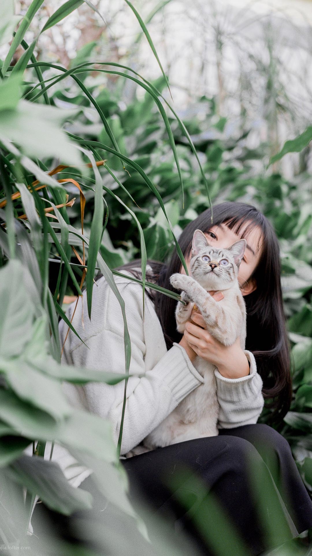 美女与猫唯美图片手机壁纸