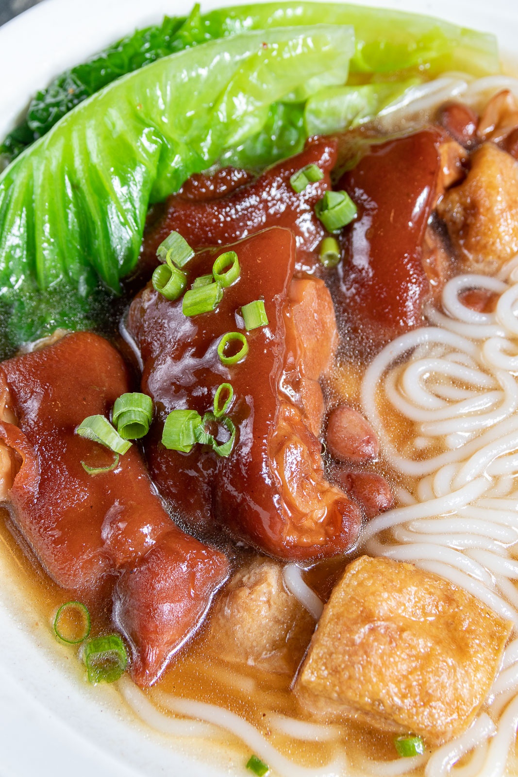 藏不住了保定这家超人气粤菜馆带你一秒穿越广东