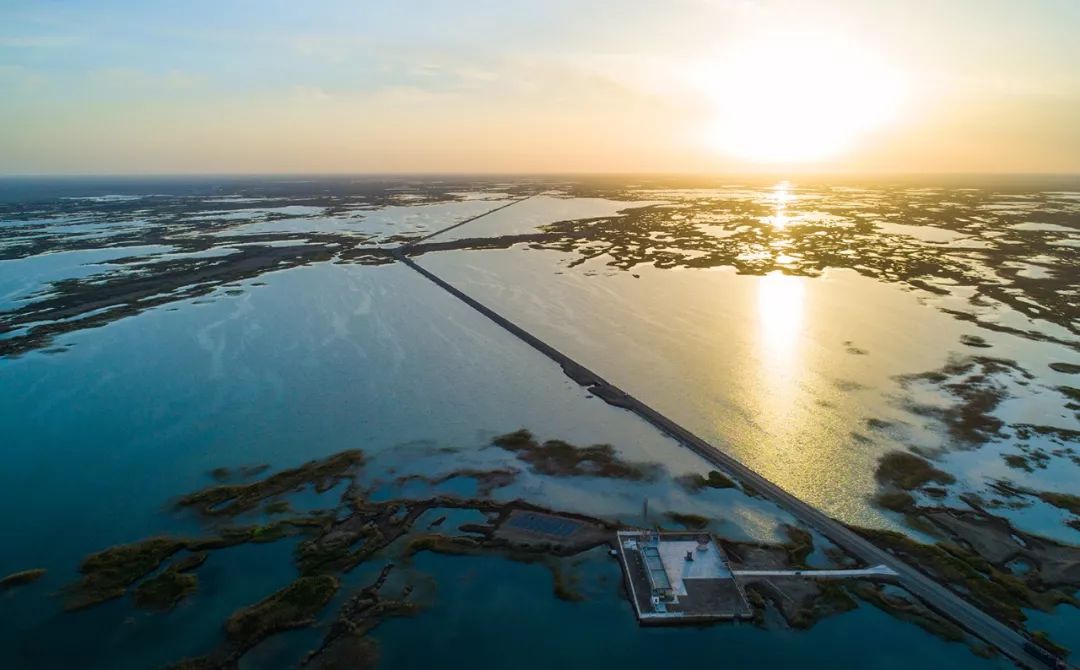 塔里木河重生记