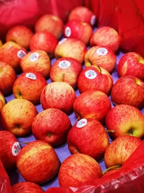 什么吐鲁番马奶提35元1箱新西兰小苹果10元5个金枕榴莲178元1斤惊喜统