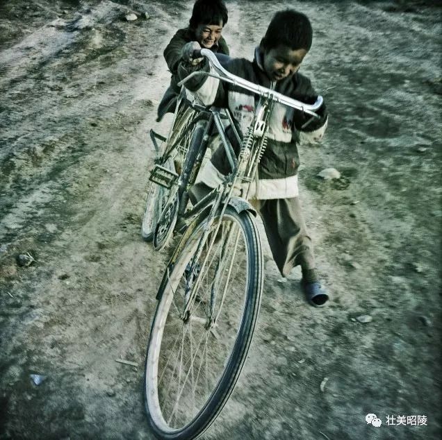 【壮美昭陵】赵晓萍/一辆破旧的飞鸽自行车