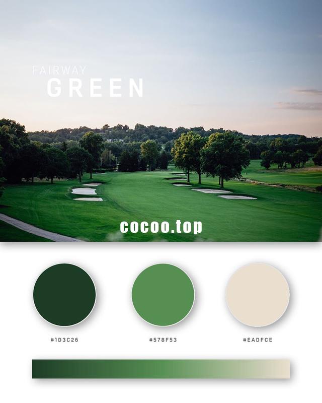 一组三色搭配方案色彩搭配灵感