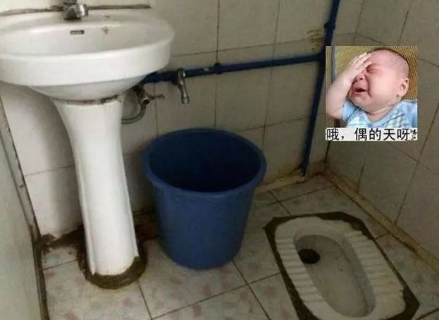 厕所臭死人?不花一分钱,轻松解决!只需放一个它在厕所里