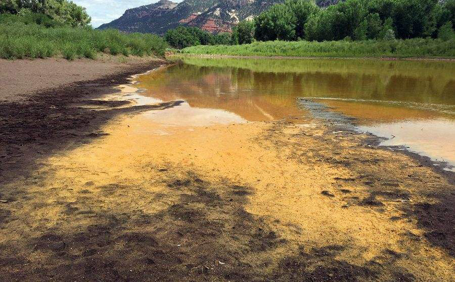 而造成这些动物死去的原因,不是环境污染,也不是化学物质,据悉,在河流