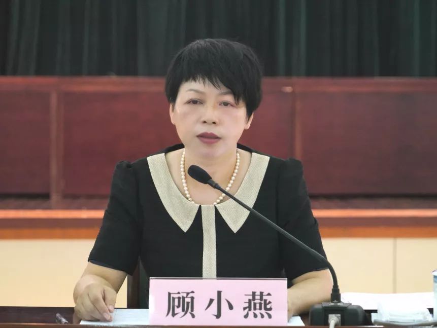 党委副书记,政协工委主任顾小燕总结"233"专项行动推进情况和存在问题