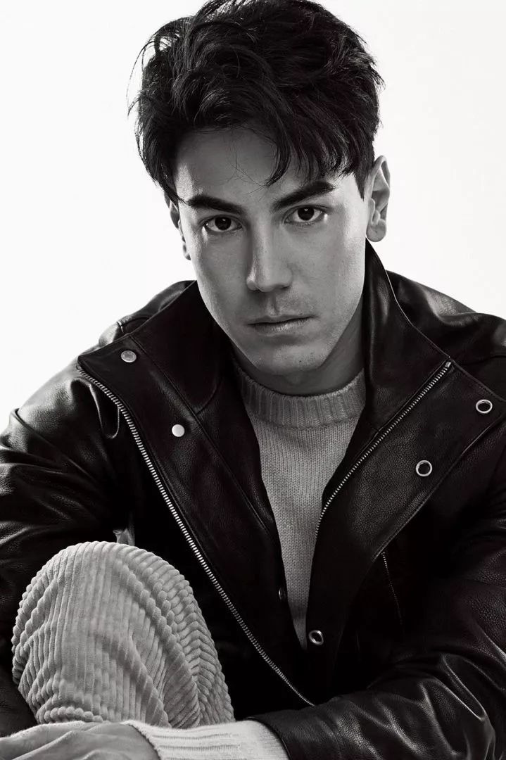 王阳明,毛加恩,白梓轩,李安卓,周汤豪,以及最知名的柯震东,都是清一色