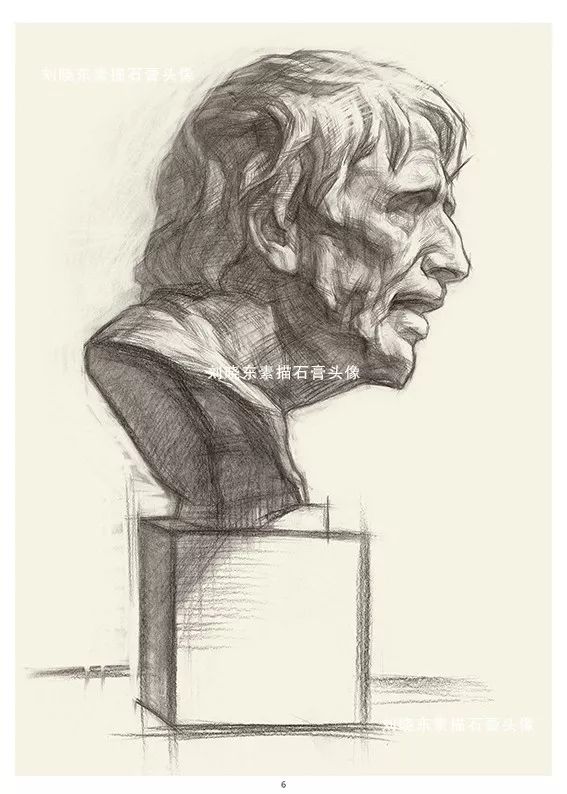 中国美术学院专业基础教学部教师刘晓东素描石膏头像挂图