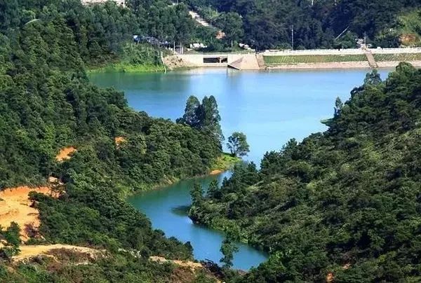 红帆船团建这一次我们相约高明茶山