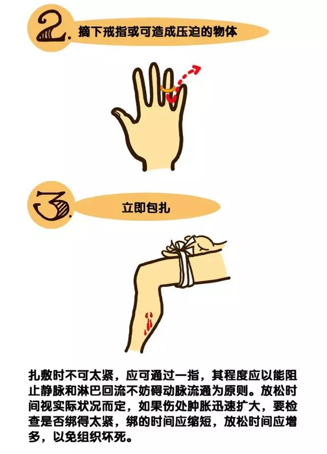 处理不及时可能会危及生命,被咬时需快速求救进行自保!_伤口