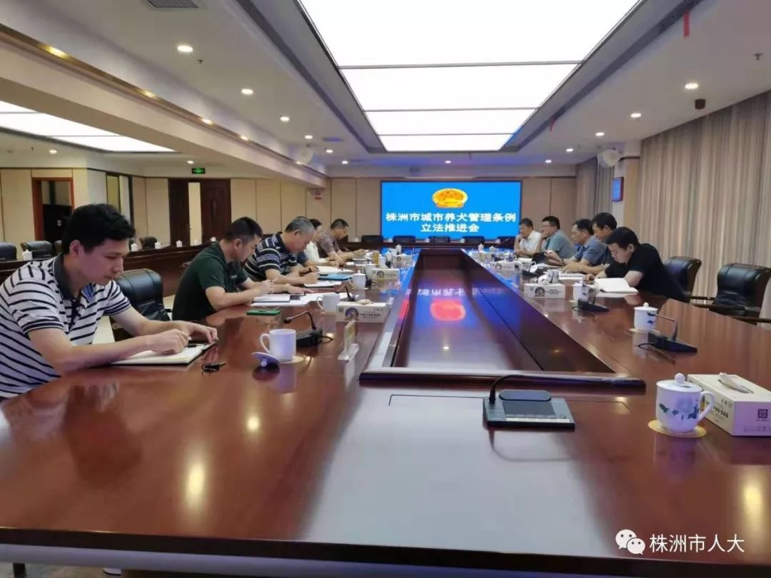 李智出席城市养犬管理立法推进会