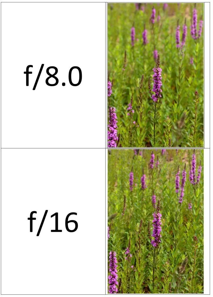 工作生活中学会这几招,你也能成为摄影达人!_光圈