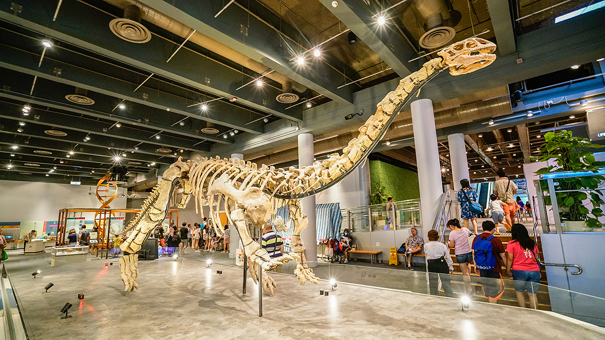 香港本地人孩子最多的地方不是迪士尼和海洋公园,而是香港科学馆_互动