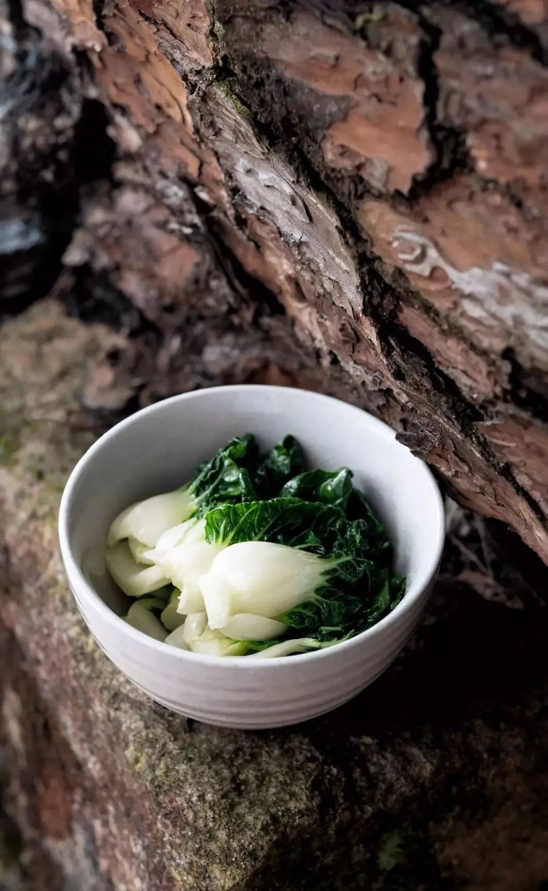 褐菇扒佐鼠尾草鹰嘴豆酱portobello mushroom