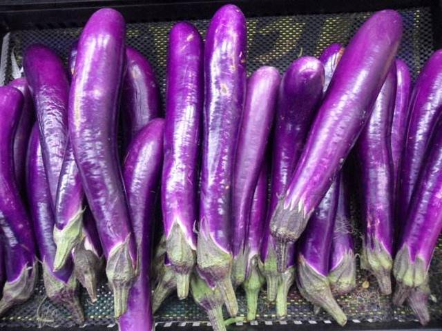 火烧云茄子紫图片