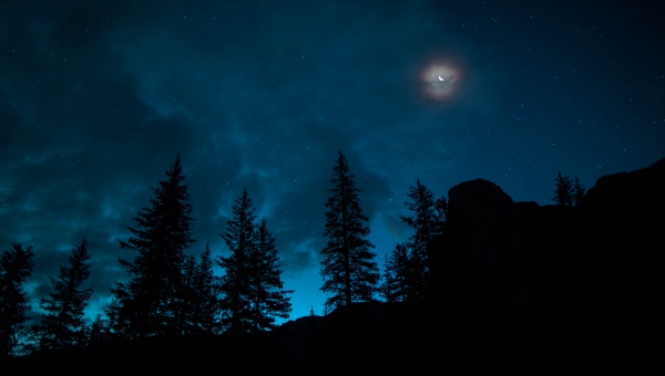 百舸争流还是垂死挣扎?海信索尼三星等中外彩电企业有苦说不出-家电圈官网