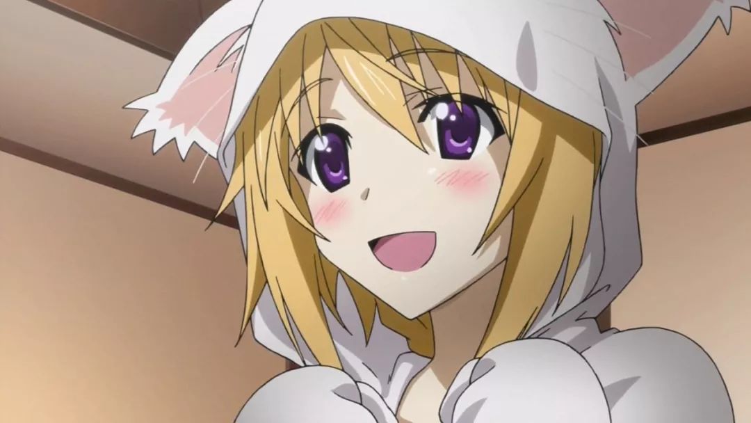 7神乐《银魂》8希丝特莉亚《进击的巨人》9丹生谷森夏《中二病也想