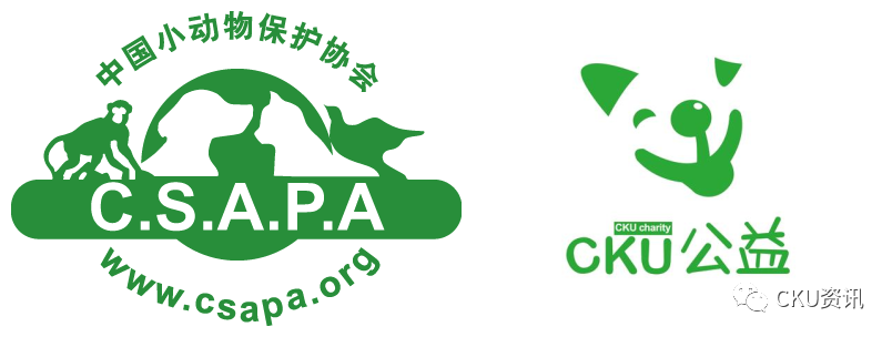 99公益日 | cku寻找公益伙伴--cku公益之星喊你一起做好事!_保护