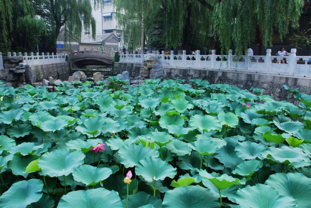 北京积水潭医院、朝阳区贩子联系方式《提前预约很靠谱》的简单介绍