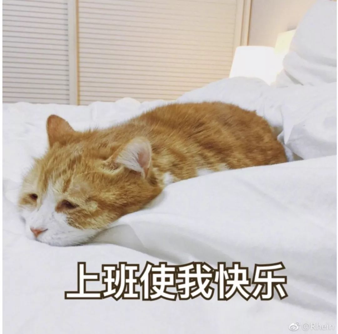 今天你上班开心吗